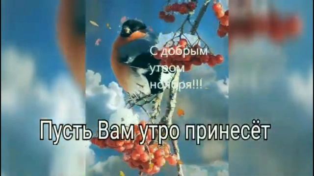 4522b6f1674fa3ba221efdd6f3a6a918