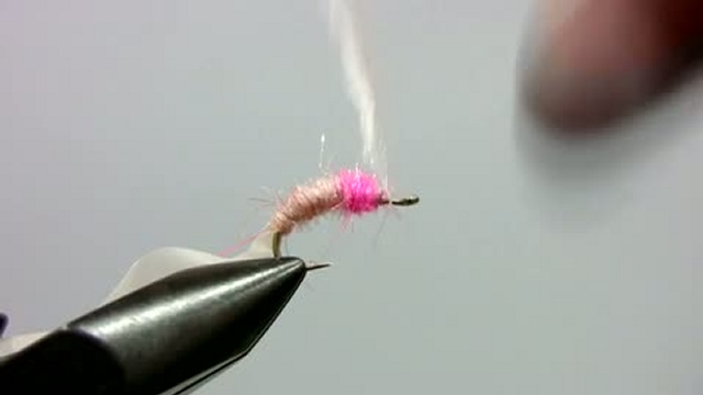 966c42911a8a659895203db0f3b5822e