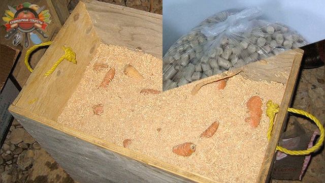 Часто покупаю наполнитель для лотков животных. Рассказываю, как я его использую!