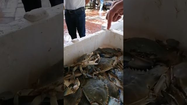 Рыбный базар в Фетхие. Тут же при вас готовят