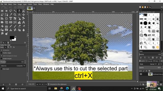 GIMP Tutorial: Make An Alpha Channel __ [Remove Background]