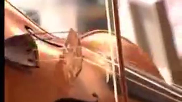 Ysaÿe Trio And Hanna Shybayeva Beethoven Symphony Nr 3 Op. 55 In E-flat 