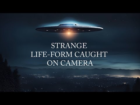 Strange Life-Form Caught On Camera