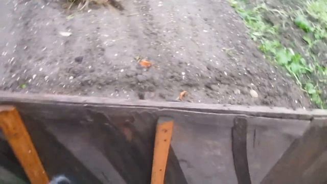 Мокрая зелёная дверь (концептуальный видос)