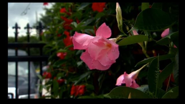 Строительные Настольгии