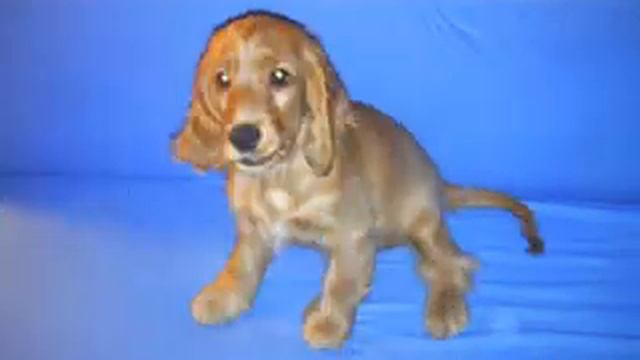 79b012555f7cc96734004a2c8b0f597c