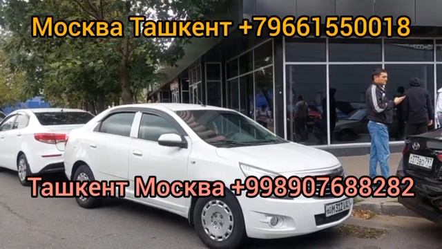Томск Ташкент такси Омск Ташкент такси Москва Ташкент такси #москваташкент