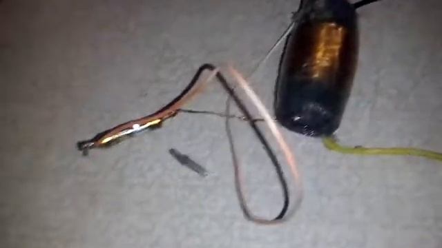 Схема электрошока