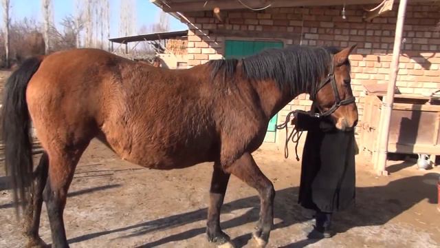 Өзгөрүш айылы 2022-жылдагы социалдык экономикалык өнүгүүсүнүн жыйынтыкталды.