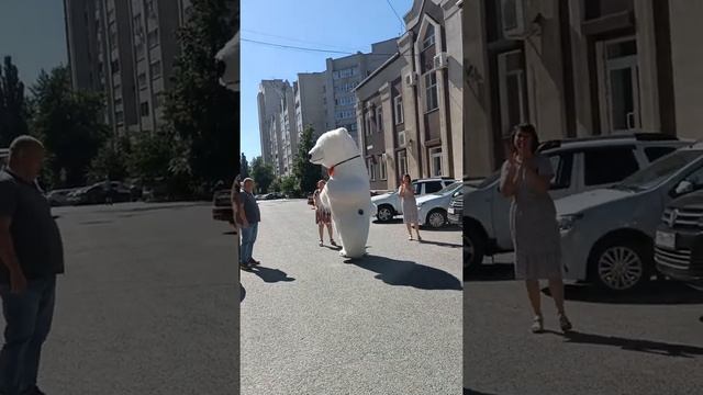 Поздравление руководителя с днём рождения!!! Поздравление от белого медведя