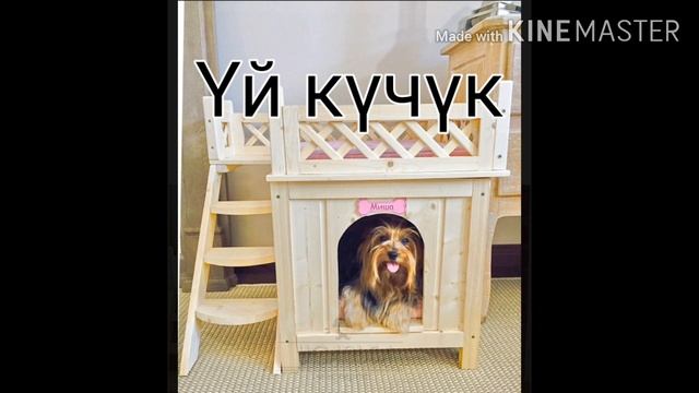 6-класс Фразеологизмдер.