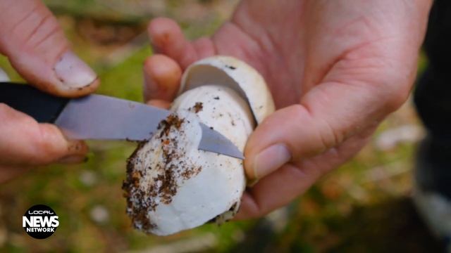 Printing Pop-Up Returns