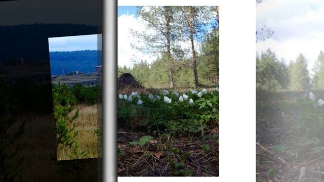 Будни в селе