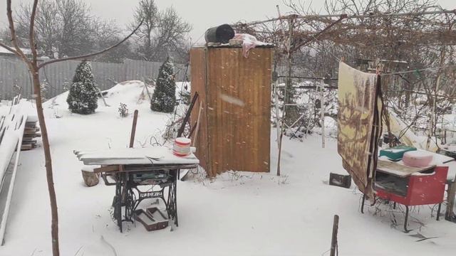 Кино сильная женщина смотреть.