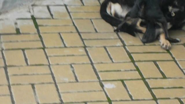 Ржач! Контрольный в голову (Kontroll In Head) Прикол!