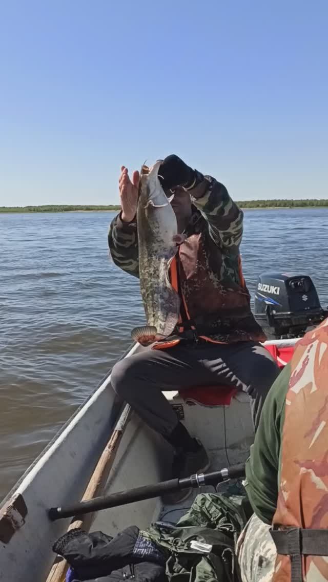 Отпускаем рыбу 2. Отпускаем сома НВ 2021