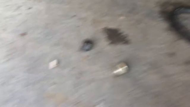 Ремонтные новости и тенденции