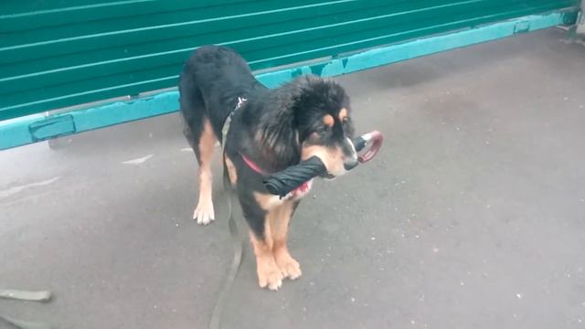 F18866f13ab2567cb47ce185b2679531