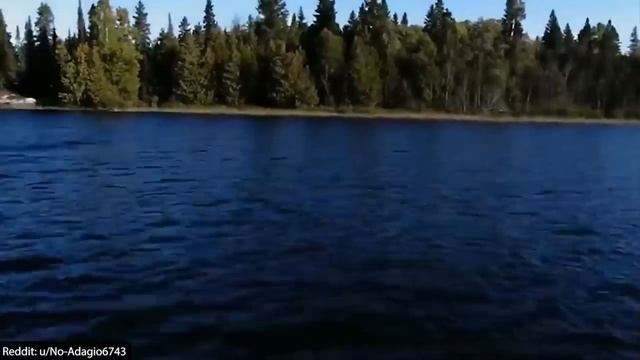 Топ - 5 видео о страшных существах, которые вы никогда не видели