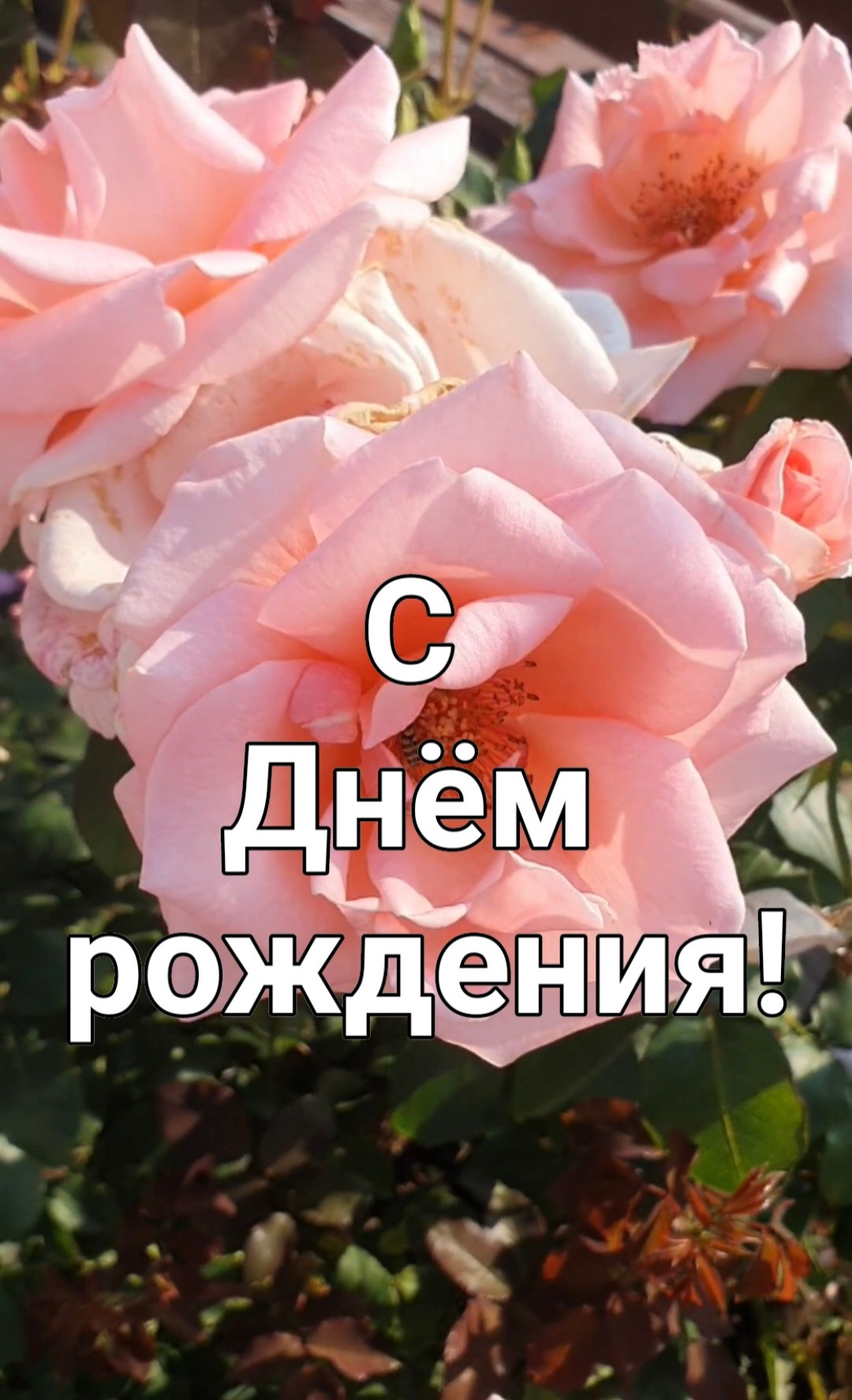 3AM_THOUGHTS__I_am_vengeance_I_am_the_night_I_am_Batman_🔥___Batman