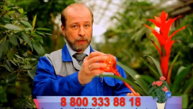 Шары для полива