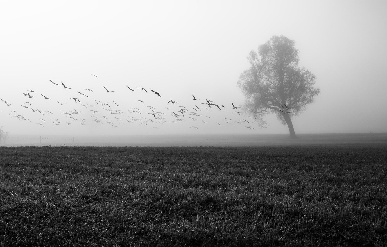 Серый снег в глазах. Русским солдатам погибшим в зоне СВО посвящается.