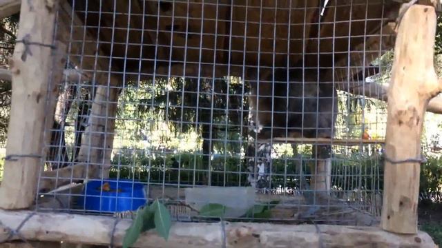 Ce72cd4b04ecb840870d859c7c5d17eb