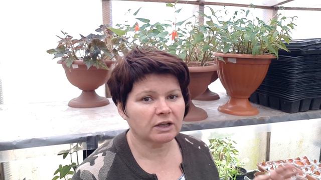 4a3b0bf93ae4e83a15a3b11f13679d2a