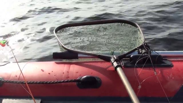 B2dec0cb24d10e0cc626a60b7618e955