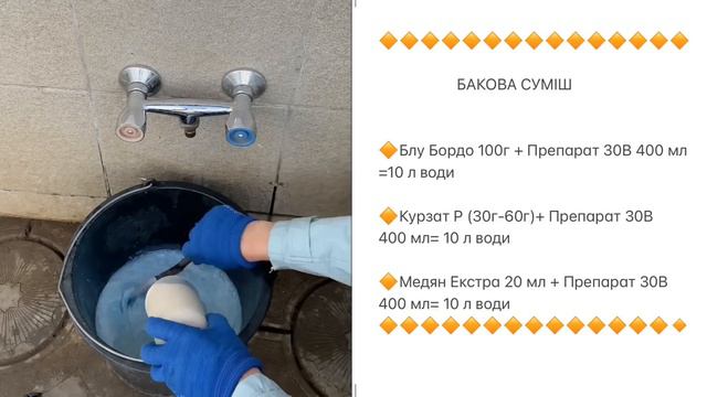 Обприскування саду навесні. Захист від хвороб та шкідників.