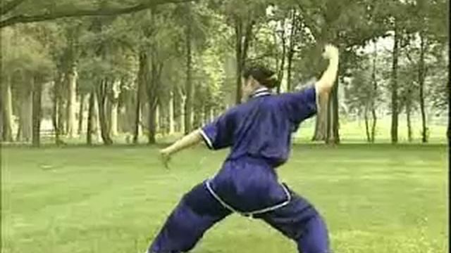 Девушка выполняет форму багуаджан.