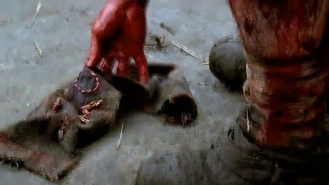 88fda1fcce425fc3fe29ae2dfadcb6df