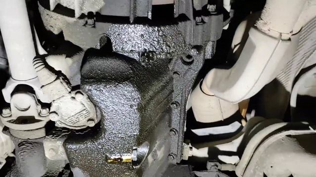 Чудесный Ali.