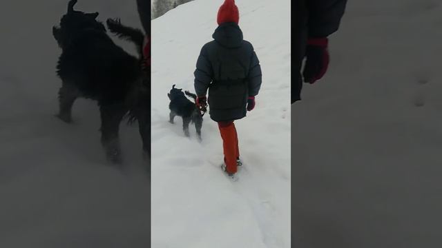 Детишки на прогулке