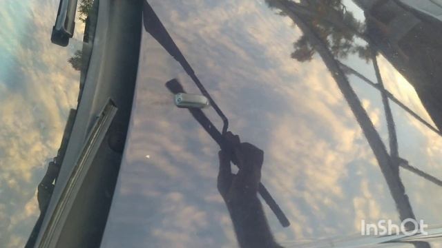 Арена храбрых