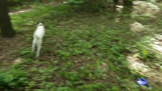 2c973f22c5fd2059a39a85604ba807ea