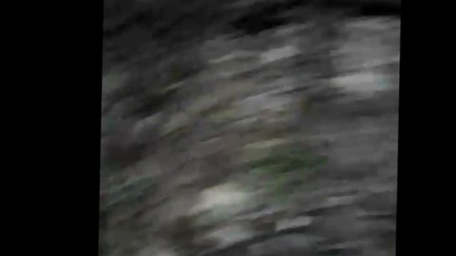 Подмосковные места ! Истринский лес .