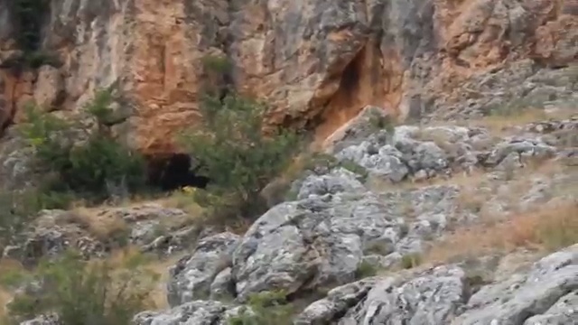 Крым,Перевальное.