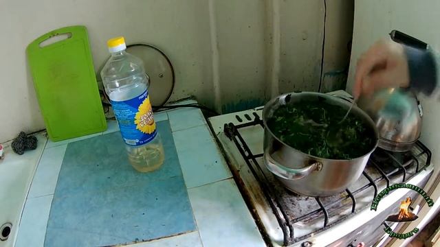 Суп из крапивы
