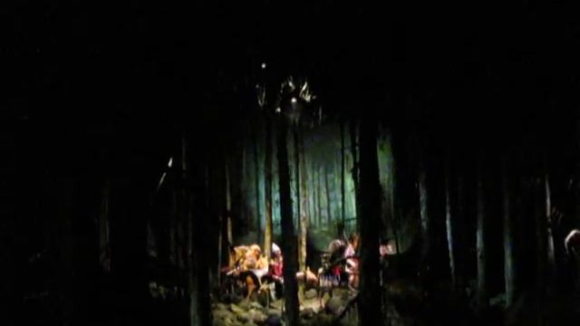 Стокгольм. Музей Юнибакен. 2011 год.