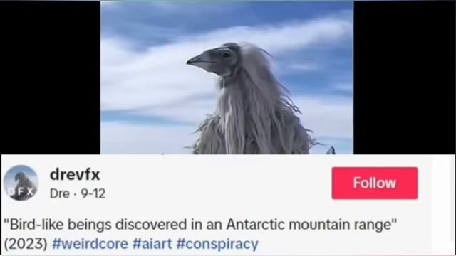 мем из 2027 года что это такое?