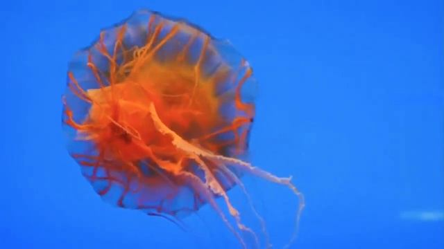 Dba046df30b6e916386183c70636dbe0