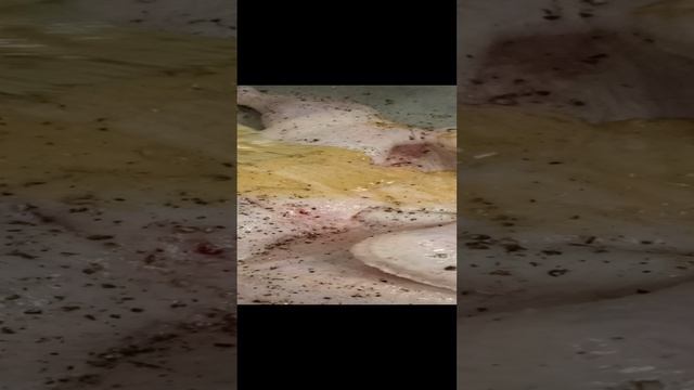 курочка в духовке, анонс.mp4