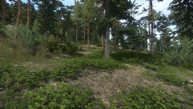 A Bird In The Hand | Kingdom Come Deliverance