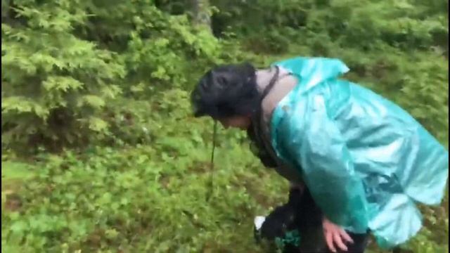 Ca670af39a7c7dda61813514a256ec27