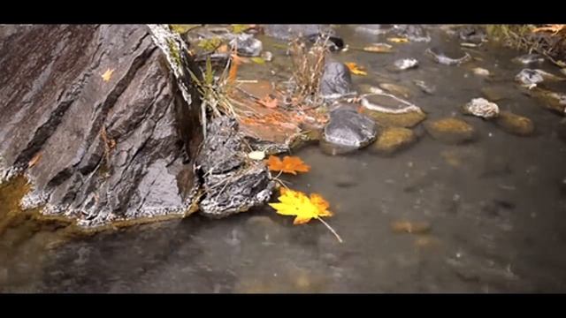 Самвел Адамян/Моя Надя приехала...