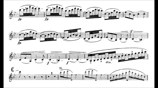 Saint-Saëns, Camille Violin Concerto No.3 Mvt2