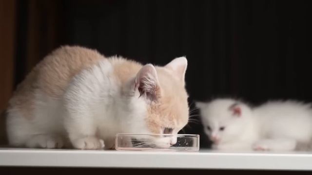 Be2bfcf5eab945365613a72f8d2bc8b9