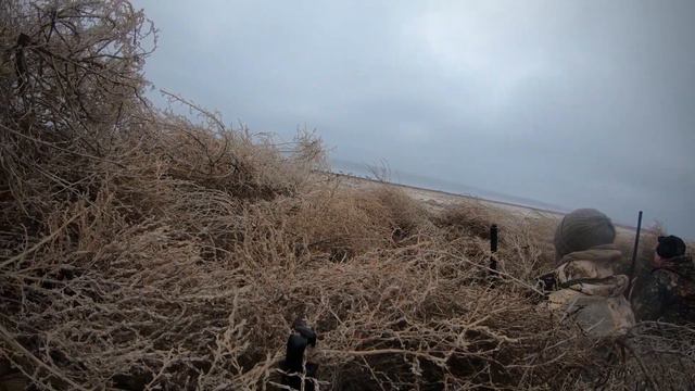 Отличная охота! Охота на утку.