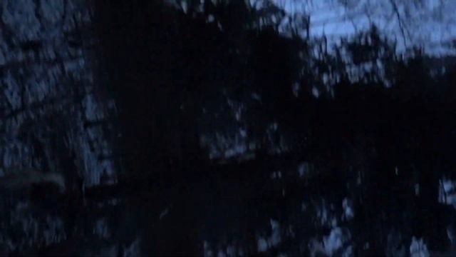 Охота на куниц. По первому снежку с КФЛ.  HUNTING MARTEN WITH THE FINNISH SPITZ